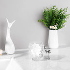 Clear Transparent Apothecary Floral Embossed Glass Jar With Satin Nickel Metal Lid Cover for Bathroom Organization, Cotton Balls, Q Tips, and Small Accessories, Bathroom Storage