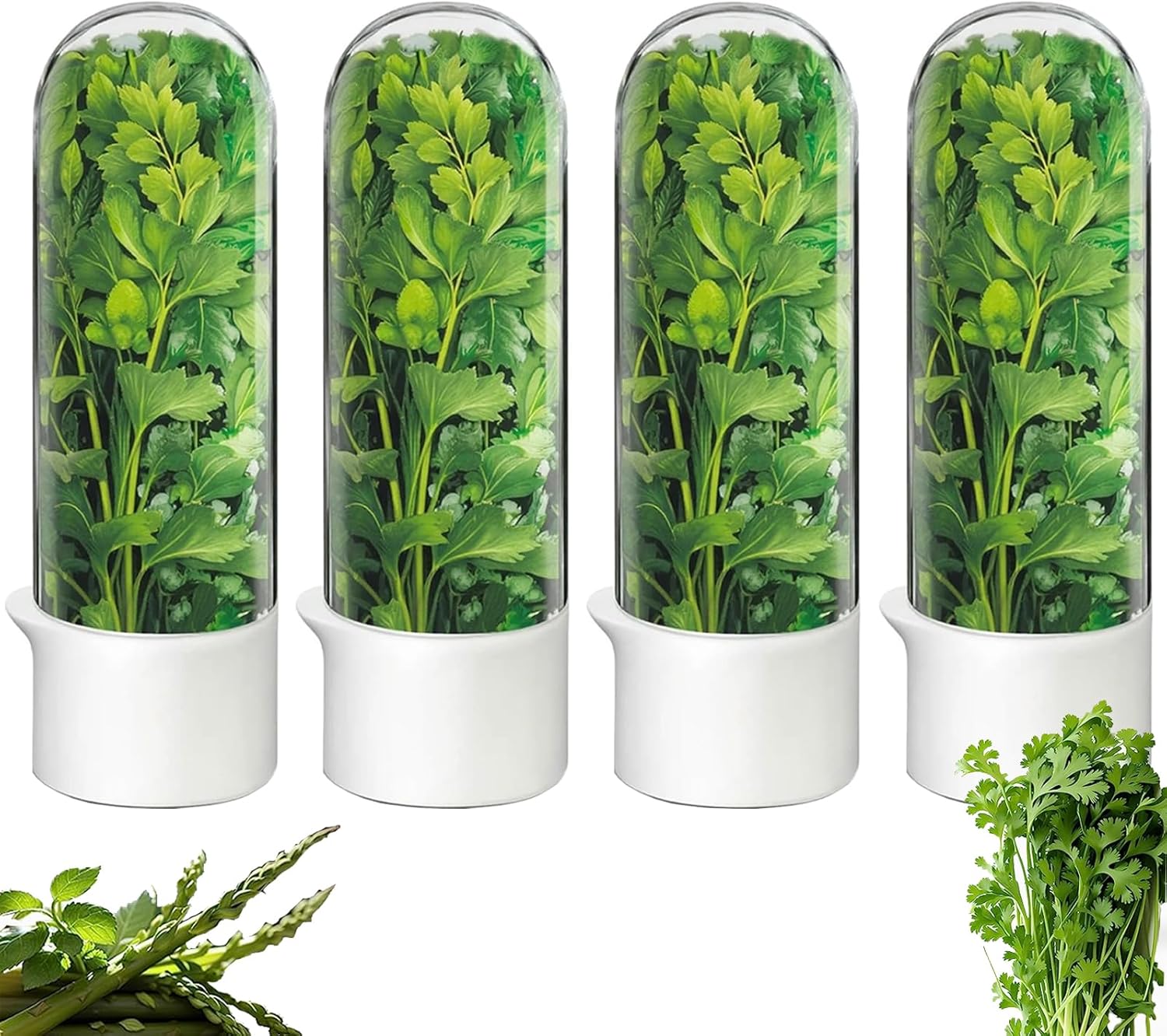 Herb Saver for Refrigerator, Fresh Herbs Lettuce Keeper for Refrigerator, Cilantro Container for Fridge Fres Parsley Mint Leaves Fresh Herb Keeper, Refrigerato Storage for Fresh for 2-3 Weeks