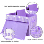 Mayniu Large Toy Box Chest with Flip Lid, Toy Storage Organizers Bin Boxes Basket with Sturdy Handles for Boys, Girls, Kids, Nursery, Playroom, Living Room, Bedroom, (Purple)