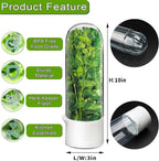 Cilantro Container for Fridge, Herb Saver for Refrigerator - Fresh Herb Keeper for Cilantro, Basil, Asparagus, Parsley, Keeps Greens Vegetables for 2-3 Weeks