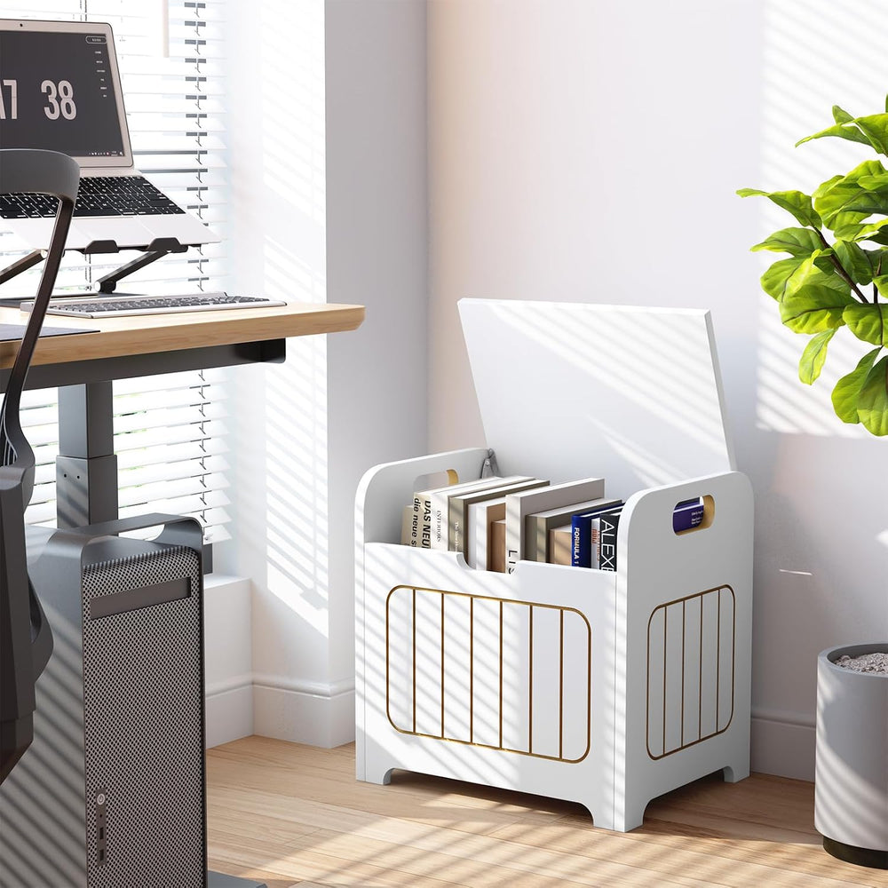 Aenuert Storage Chests, Small Cube Organizer Box,Wooden Entryway Storage (Whi...