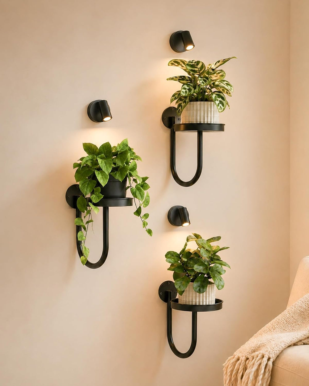 Bamworld Wall Plant Holder with Lights, Black, 3pcs