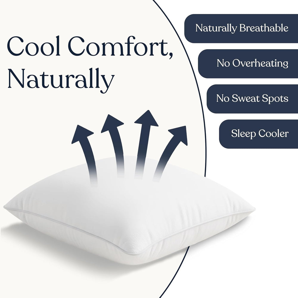 Delara Throw Pillow Inserts 18X18 Set of 2 - Organic Cotton Shell, 7D Recycle...