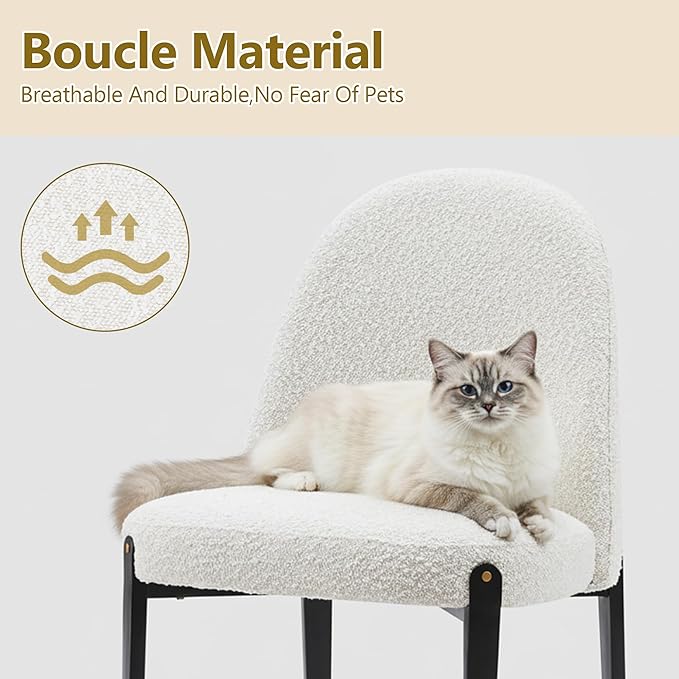 Morden Fort Boucle Dining Chairs Set of 2, Thick Upholstered Chairs with Metal Legs & Curved Backrest, Post Modern Minimalist Chair for Dining Room, Kitchen, Living Room, Bedroom, Apartments, White