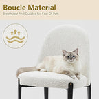 Morden Fort Boucle Dining Chairs Set of 4, Thick Upholstered Chairs with Metal Legs & Curved Backrest, Post Modern Minimalist Chair for Dining Room, Kitchen, Living Room, Bedroom, Apartments, White
