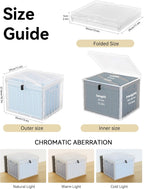 Oterri Plastic File Box with Lid for Letter Size File Folders, Hanging File Folder Box Collapsible File Organizer, File Cabinet Document Organization Home, Office (Clear, Large-2 Pack Without Folders)