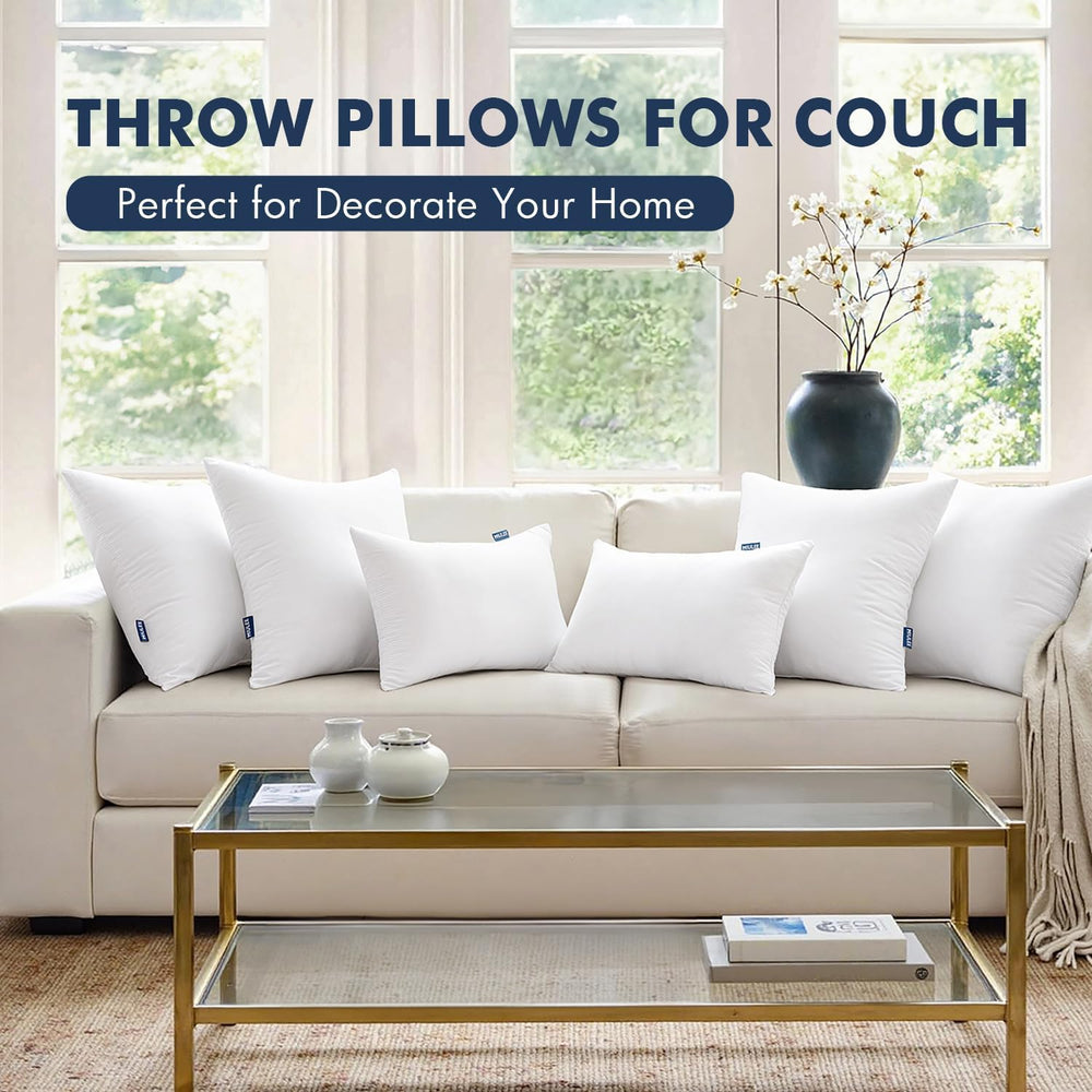 MIULEE 22x22 Throw Pillows Inserts 2 Pack, Decorative Pillows for Couch Bed
