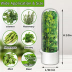 Herb Saver for Refrigerator, Herb Saver Pod Cilantro Containers for Refrigerator, Fresh Herb Keeper for Cilantro, Parsley, Asparagus, Mint, Keeps Greens Vegetables for 2-3 Weeks (Herb Keeper 1Pack)
