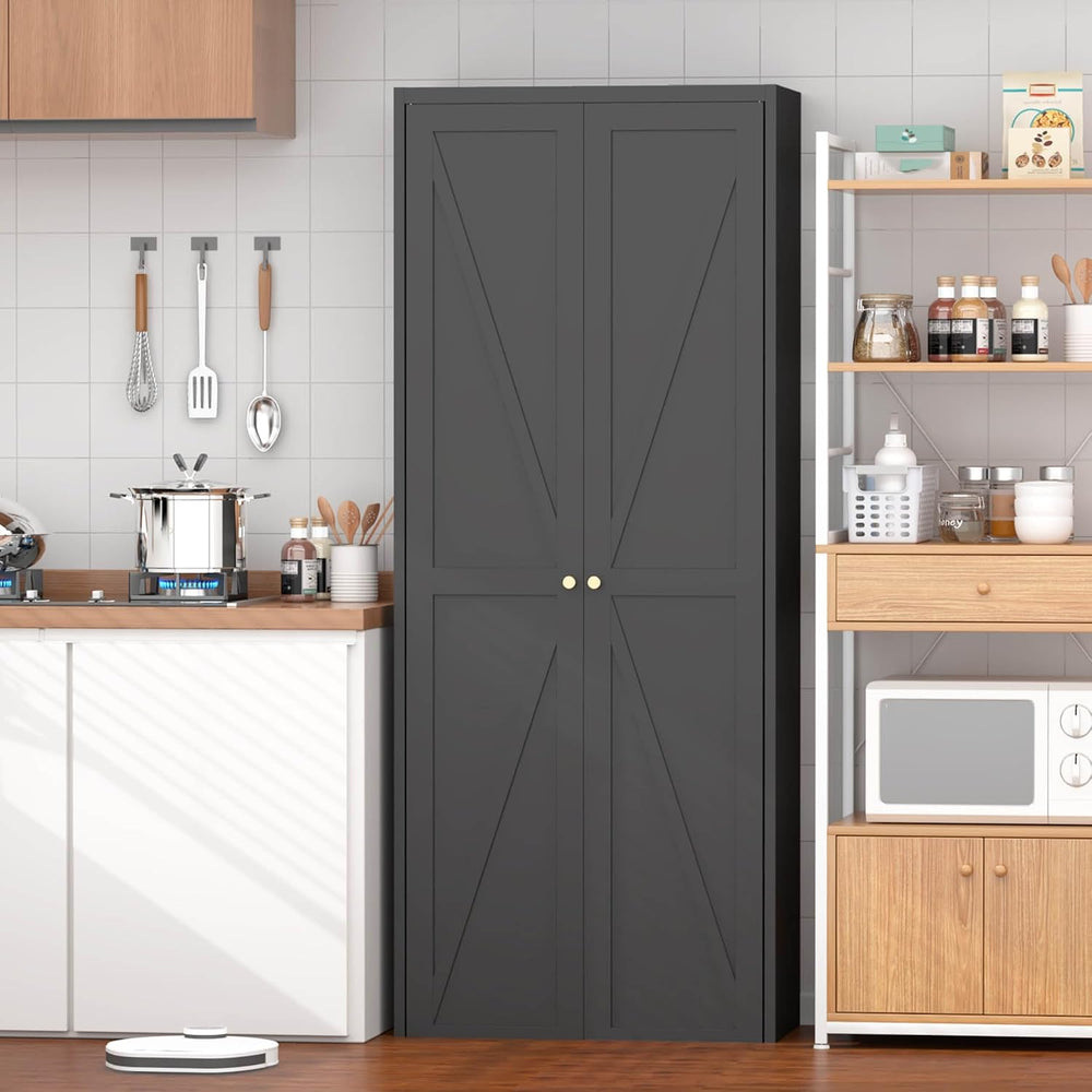 Metal Storage Cabinet with Doors and Shelves, Tall Kitchen Pantry Cabinet, Mo...
