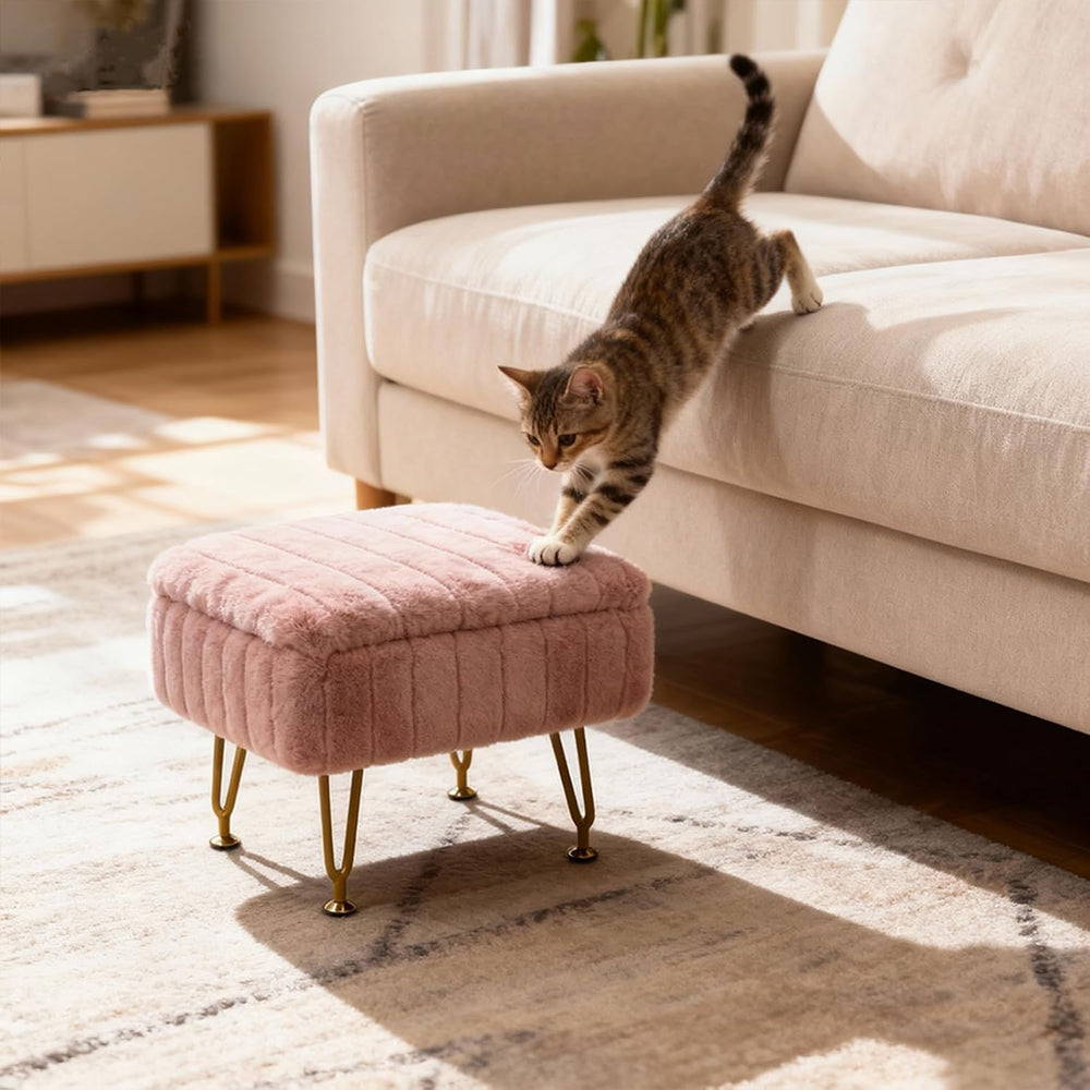 Small Foot Stool with Storage & Gold Metal Legs, Small Ottoman Foot Rest ...