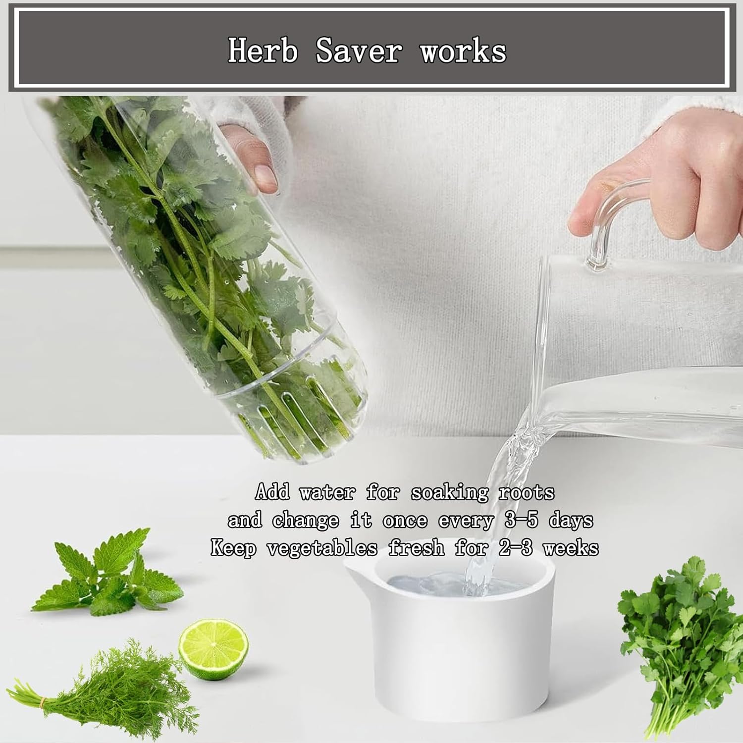 Herb Saver for Refrigerator, Fresh Herbs Lettuce Keeper for Refrigerator, Cilantro Container for Fridge Fres Parsley Mint Leaves Fresh Herb Keeper, Refrigerato Storage for Fresh for 2-3 Weeks