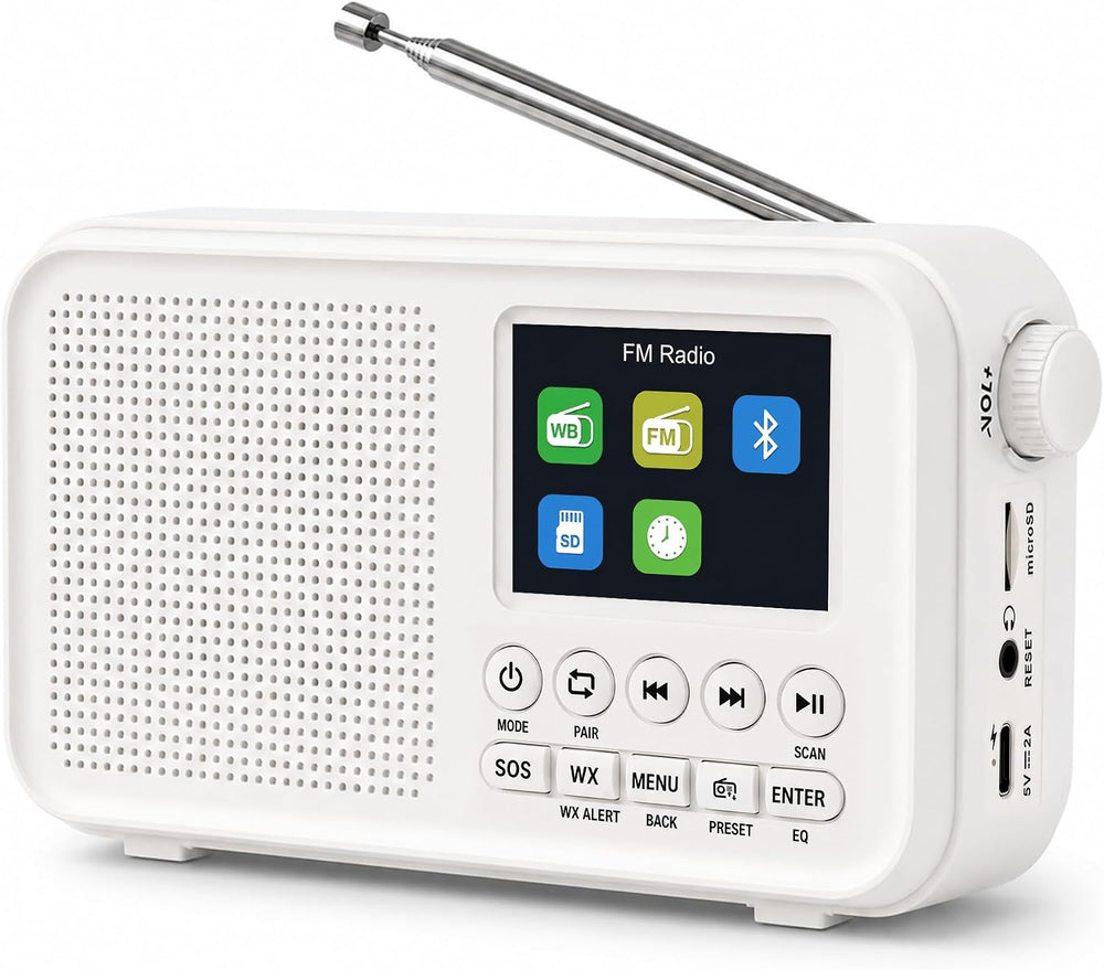 FM Radio with Bluetooth, NOAA Weather Band, 2.4" Color Screen, Rechargea...