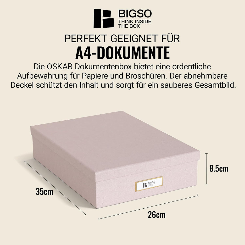 BIGSO OSKAR A4 Document Box - Storage Box with Lid and Handle - Desk Tray for Paper, Brochures & Documents - Shelf Storage Box Made of Fibreboard and Paper - Pink
