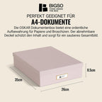 BIGSO OSKAR A4 Document Box - Storage Box with Lid and Handle - Desk Tray for Paper, Brochures & Documents - Shelf Storage Box Made of Fibreboard and Paper - Pink