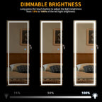 LVSOMT LED Mirror Jewelry Cabinet, Wall/Door Mount Jewelry Armoire Organizer with Lights, Full Length Mirror with Jewelry Storage, Over the Door Hanging Jewelry Cabinet (White)