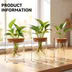 6Pcs 3 Size Glass Plant Propagation Stations, Desktop Flower Vases | Hydroponic Glass Container Vase (2 Large & 2 Medium & 2 Small) for Plant Cuttings, Desks, Living Room, Bedroom, Office Decor