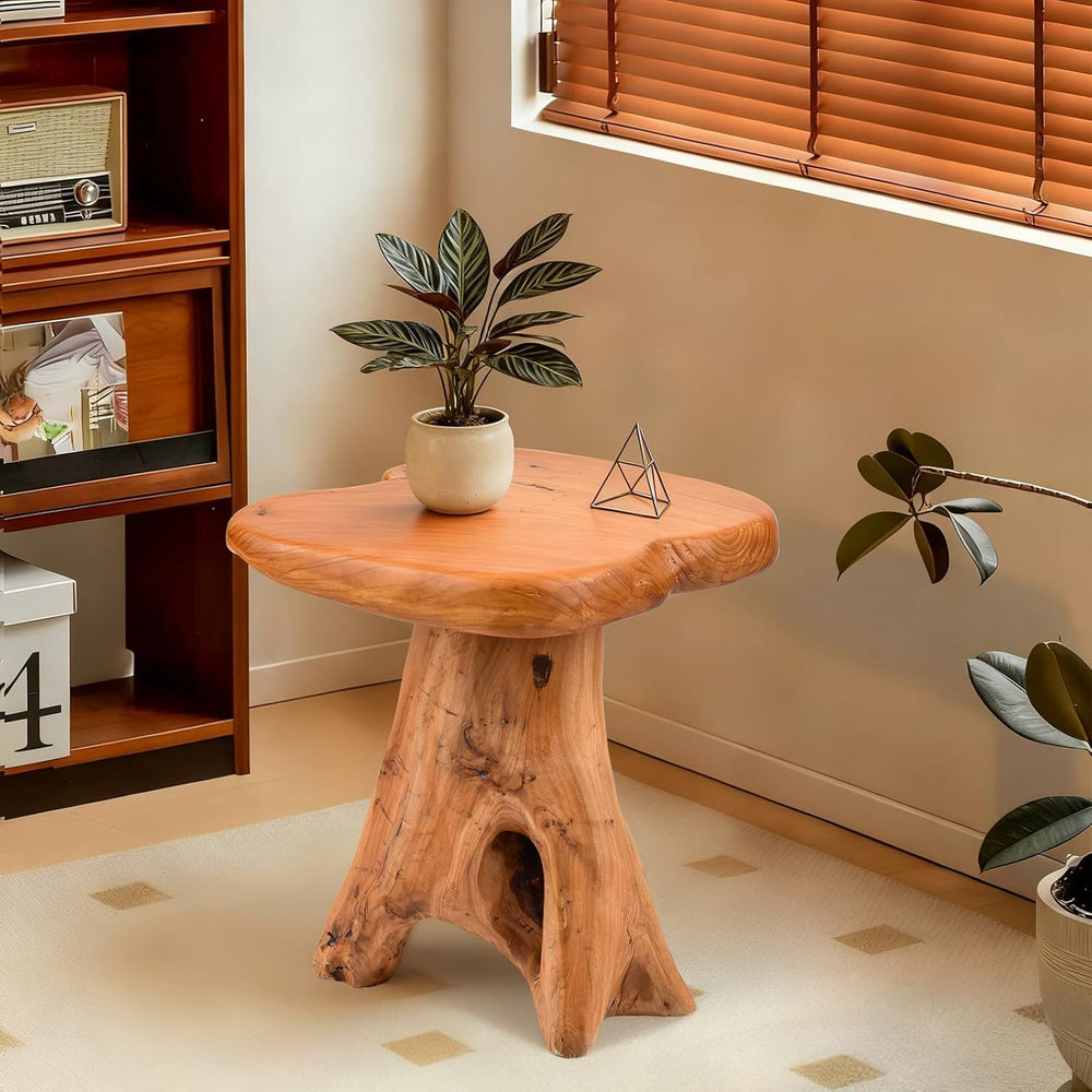 Small Side Table, Freeform Live Edge Wood Stool, Unique Design Natural Plant ...