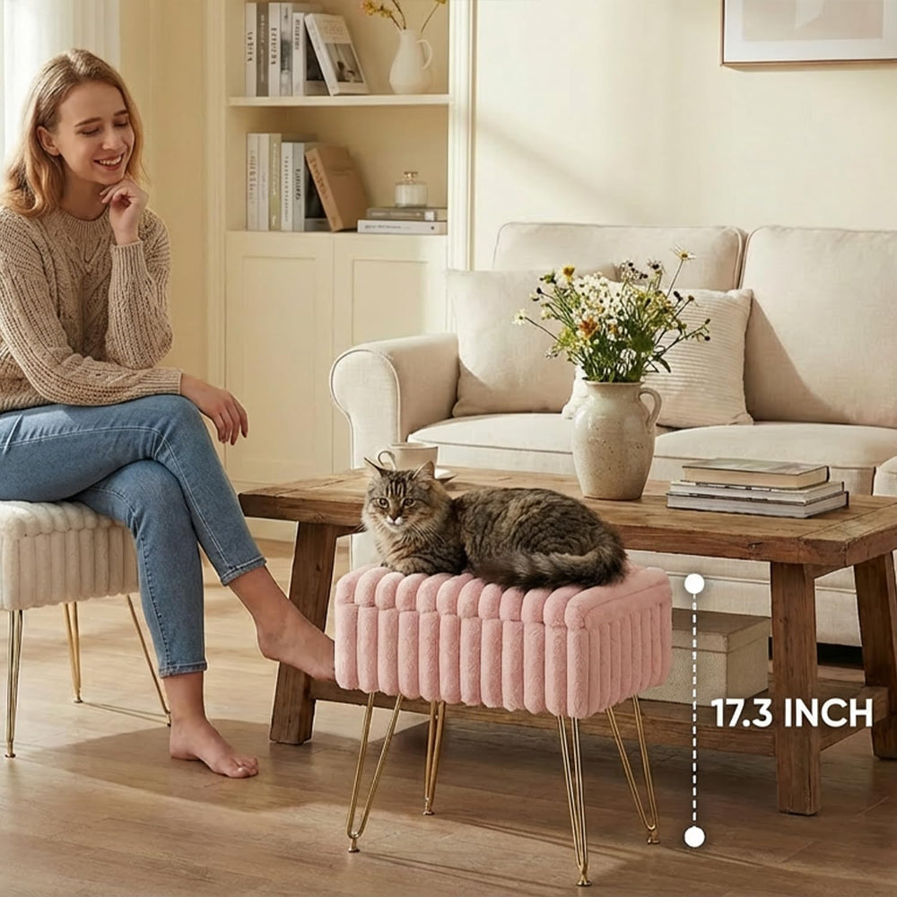 EBENCHICO Vanity Stool Chair with Storage, Faux Fur Stools for Vanity | Makeu...