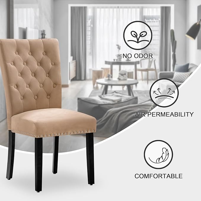 Velvet Dining Kitchen Chair Set of 2, Parsons Upholstered Dining Room Chair, Wood Accent Chair with Nailed Trim, Camel