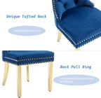 KCC Velvet Dining Chairs Set of 4, Upholstered High-end Tufted Dining Chair with Nailhead Back Ring Pull Trim Stainless Steel Legs, Contemporary Nikki Collection Modern Style for Kitchen, Blue
