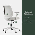 Branch Daily Chair - Vegan Leather Office Chair with Swivel, Lumbar Rest, and Adjustable Armrests - Comfortable Seating for Improved Posture and Productivity - Limestone