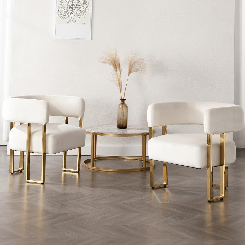 Barrel Accent Chair Set of 2 with Metal Frame Legs, Modern Velvet Living Room...