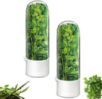 Cilantro Container for Fridge, Herb Saver for Refrigerator - Fresh Herb Keeper for Cilantro, Basil, Asparagus, Parsley, Keeps Greens Vegetables for 2-3 Weeks