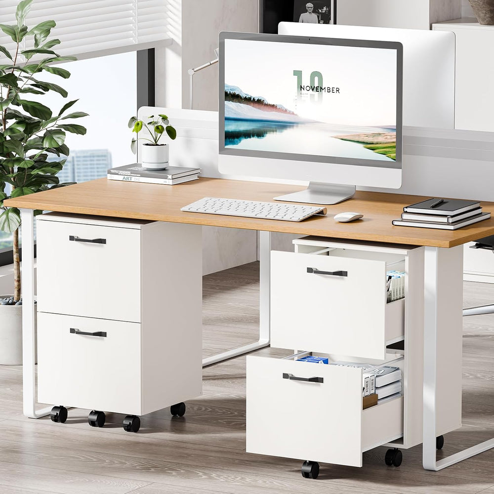 DUMOS 2 Drawer Storage Cabinet, Rolling Under Desk Storage, White | Not for H...