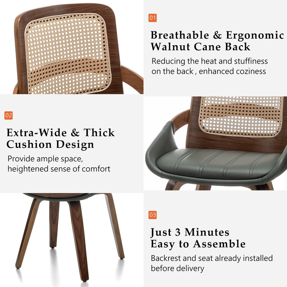 Set of 2 Kitchen & Dining Room Chairs - Green Dining Chairs with Walnut B...