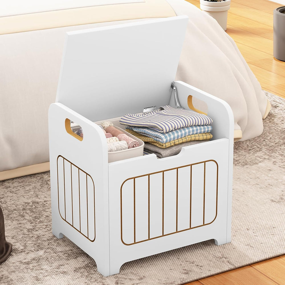 Aenuert Storage Chests, Small Cube Organizer Box,Wooden Entryway Storage (Whi...