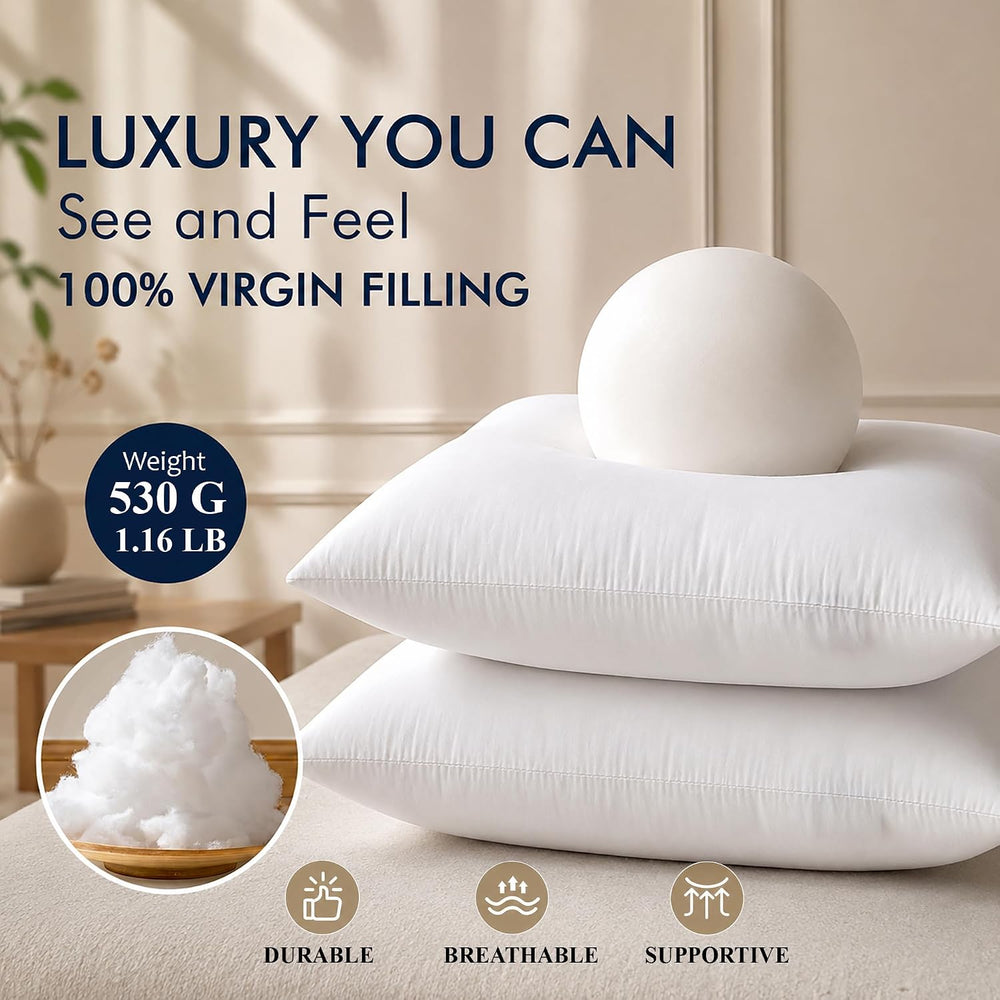 Ridhi White Throw Pillow Inserts, 20x20 Inch, Pack of 4, Down Alternative