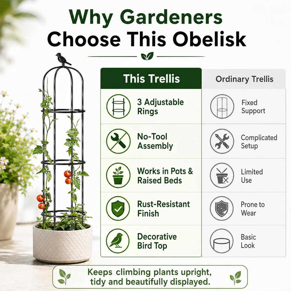 FOLLOOK Garden Obelisk Trellis for Climbing Plants Outdoor, 2 Pack
