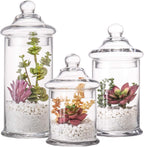 Set of 3 Glass Apothecary Jars with Lids, Clear Bathroom Storage Organizer Canister Set for Qtips, Cotton Swabs, Cotton Balls, Bath Salts (H: 11", 8.5", 7.5", D: 5"; 23 FL.OZ, 34 FL.OZ and 45 FL.OZ)