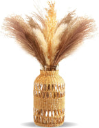 ZENS Rattan Boho Vase, Hand Woven Wicker Cover Glass Flower Vases for Pampas Grass, Artistic Boho Style Country Vase for Fall Flower Decor, Home Table Centerpiece, Farmhouse Decorative