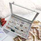 Wudygirl Velvet Jewelry Organizer Clear Lid Earring Holder Organizer 32 Pairs Earrings Storage Stud Tray Showcase Display Case（Earring Storage）