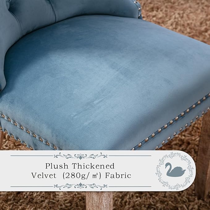 Velvet Upholstered Dining Chairs Set of 2, Modern Style Kitchen Side Chairs with Nailhead Trim and Wood Legs,Metal Pulling Ring for Dining Room Living Room(Sky Blue,Set of 2)