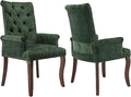 Upholstered Tufted Chenille Dining Chairs with Arms & Nailhead Trim – Solid Wood Frame & Legs, Modern Farmhouse for Dining, Kitchen & Living Room (Set of 2, Olive Green)