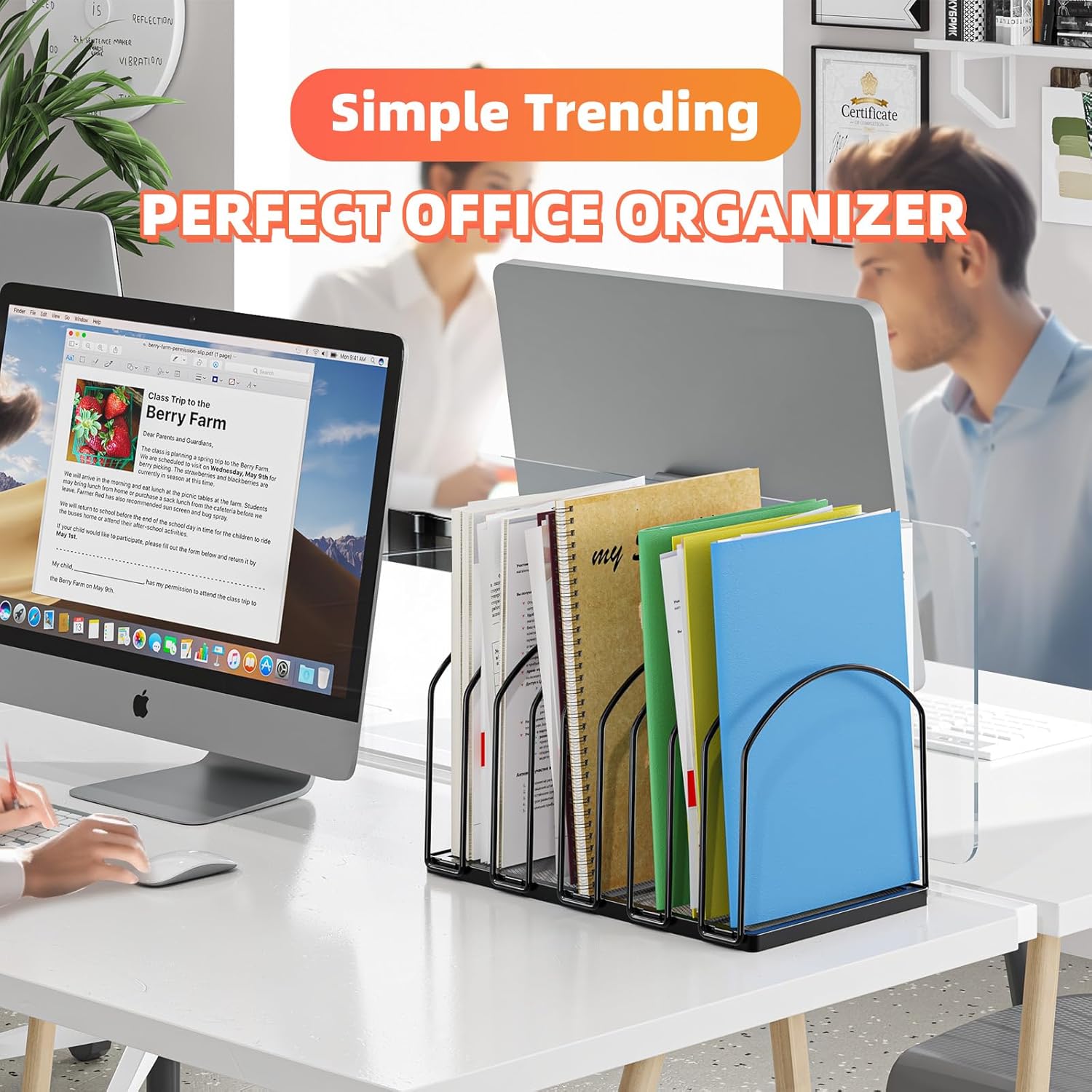 Simple Trending 2 Pack 9 Section Metal File Sorter Organizer for Desk Home Office, Black