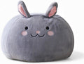 Furry Bean Bag Cover, Faux Fur Bean Bag Chair Cover for Kids, Teens and Adults 32x32x18in (Fluffy Bunny)