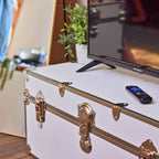 Rhino Classic Large Trunk for Camp & College, Dorm Storage Footlocker Chest | 32"L x 18"W x 14"H, 1500+ lb Capacity, Baltic Birch Plywood, Nickel Plated Steel, Lockable