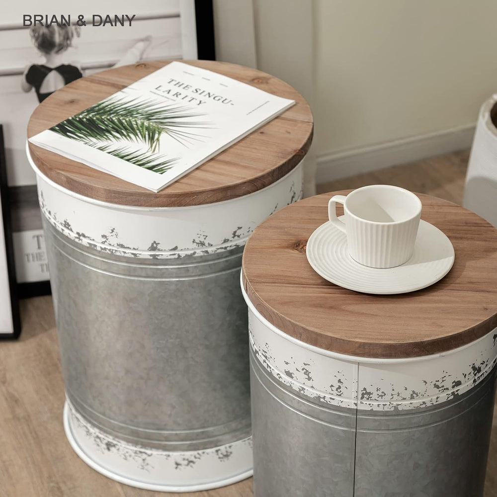 BRIAN & DANY 2 Pack Farmhouse Accent Side Table, Rustic Storage Ottoman S...