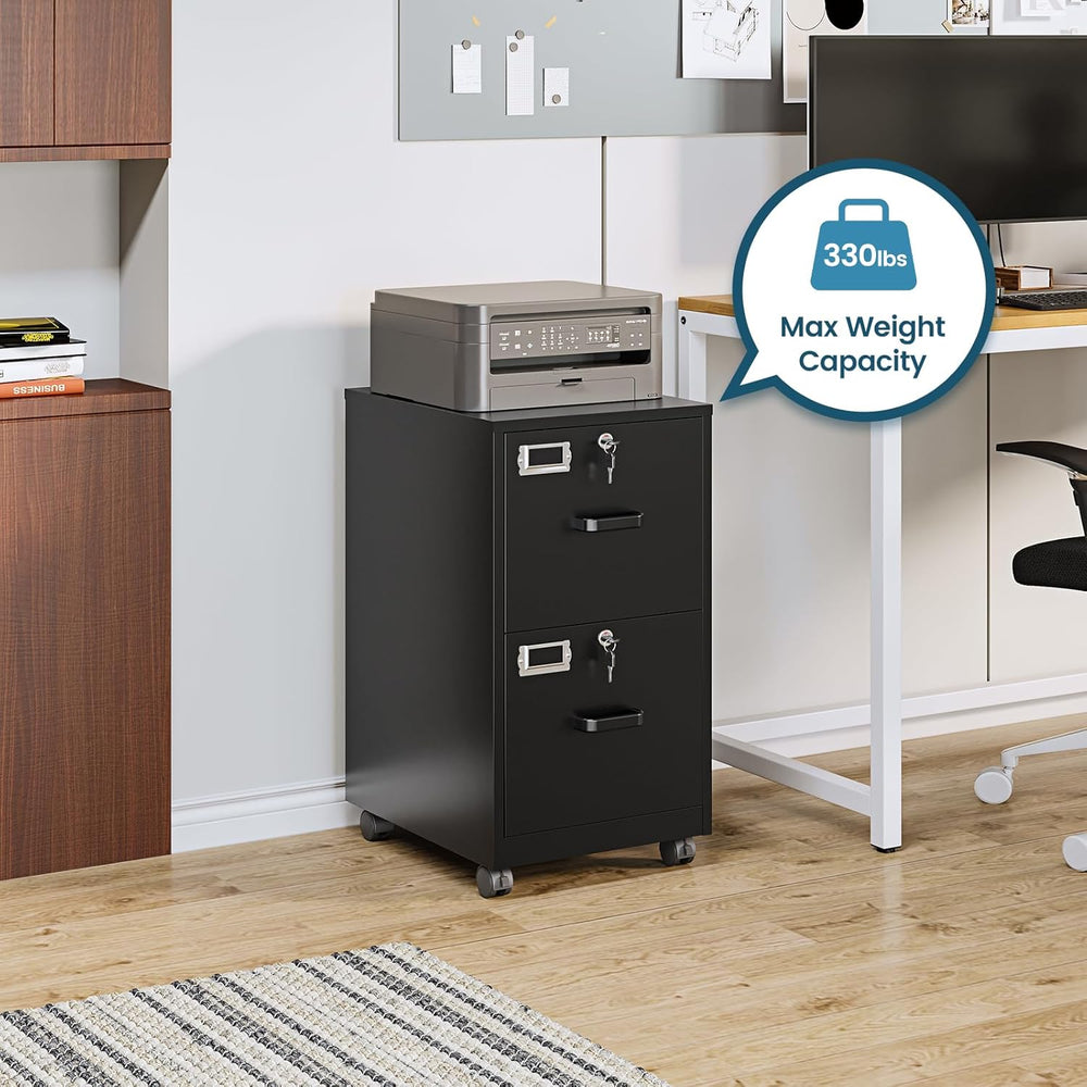 MIIIKO 2 Drawer File Cabinet with Lock, Vertical Metal Filing Cabinets for Ho...