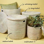 Small White Storage Basket - Laundry Hamper, Baby Nursery Toys Bin, Living Room Blankets Storage, Towels Holder, Organizing, Decorative - Wicker, Woven, Lid, Handles