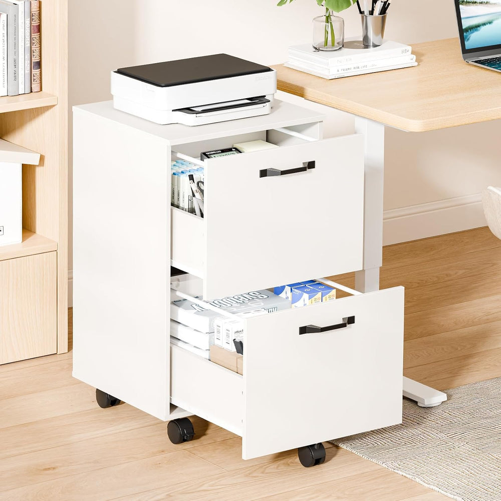 DUMOS 2 Drawer Storage Cabinet, Rolling Under Desk Storage, White | Not for H...