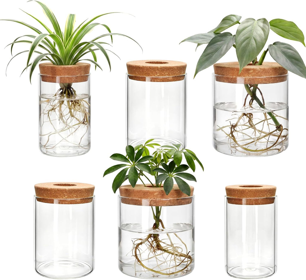 6Pcs 3 Size Glass Plant Propagation Stations, Desktop Flower Vases | Hydroponic Glass Container Vase (2 Large & 2 Medium & 2 Small) for Plant Cuttings, Desks, Living Room, Bedroom, Office Decor