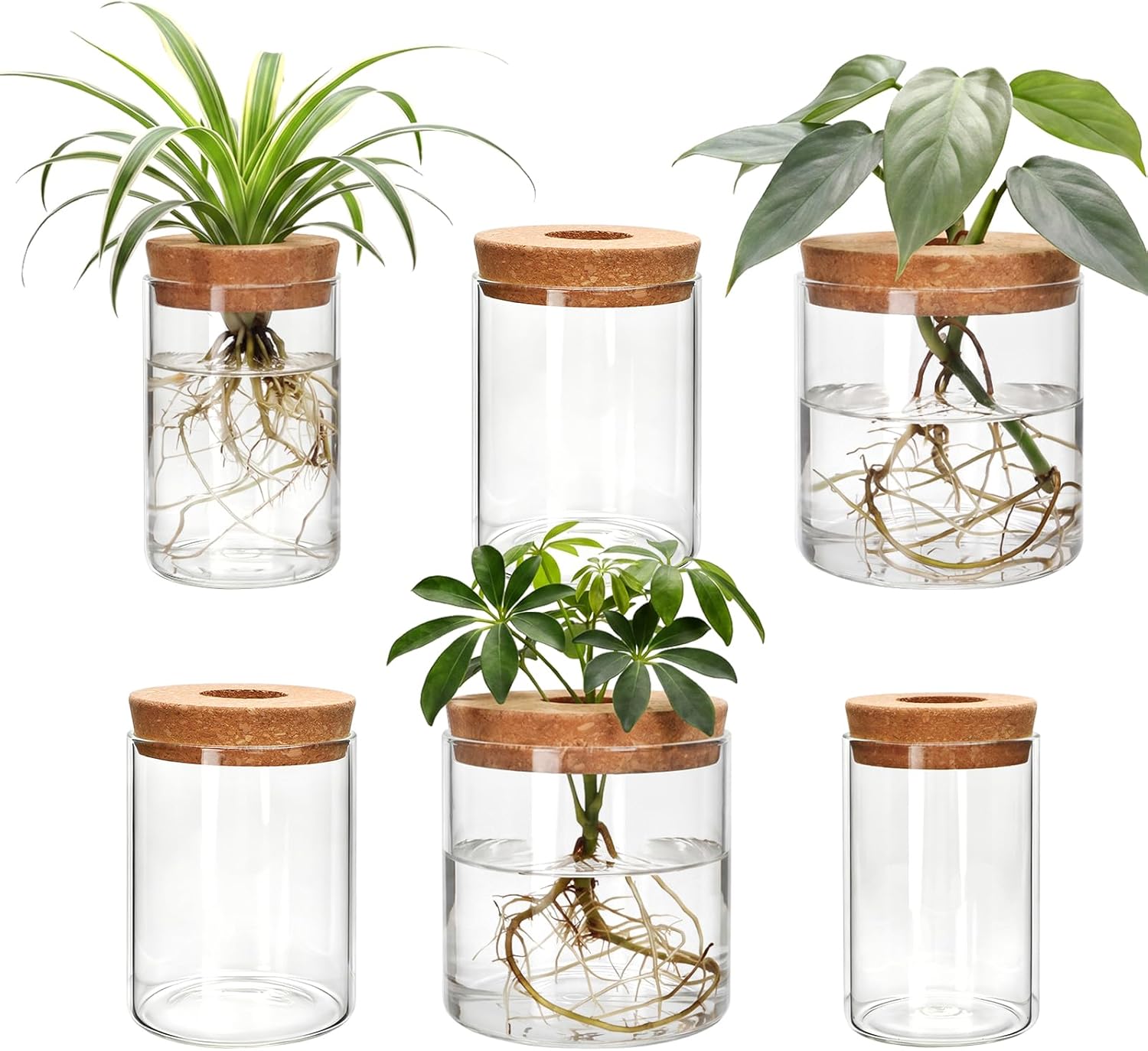 6Pcs 3 Size Glass Plant Propagation Stations, Desktop Flower Vases | Hydroponic Glass Container Vase (2 Large & 2 Medium & 2 Small) for Plant Cuttings, Desks, Living Room, Bedroom, Office Decor