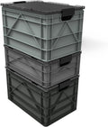 SIDIO CRATE Pro Pack - Two Full Size and One Half Size Heavy Duty Stackable Storage Bins, Totes and Containers with Lids and Dividers - Durable Organizer for Home, Office, Garage, and Outdoor Use