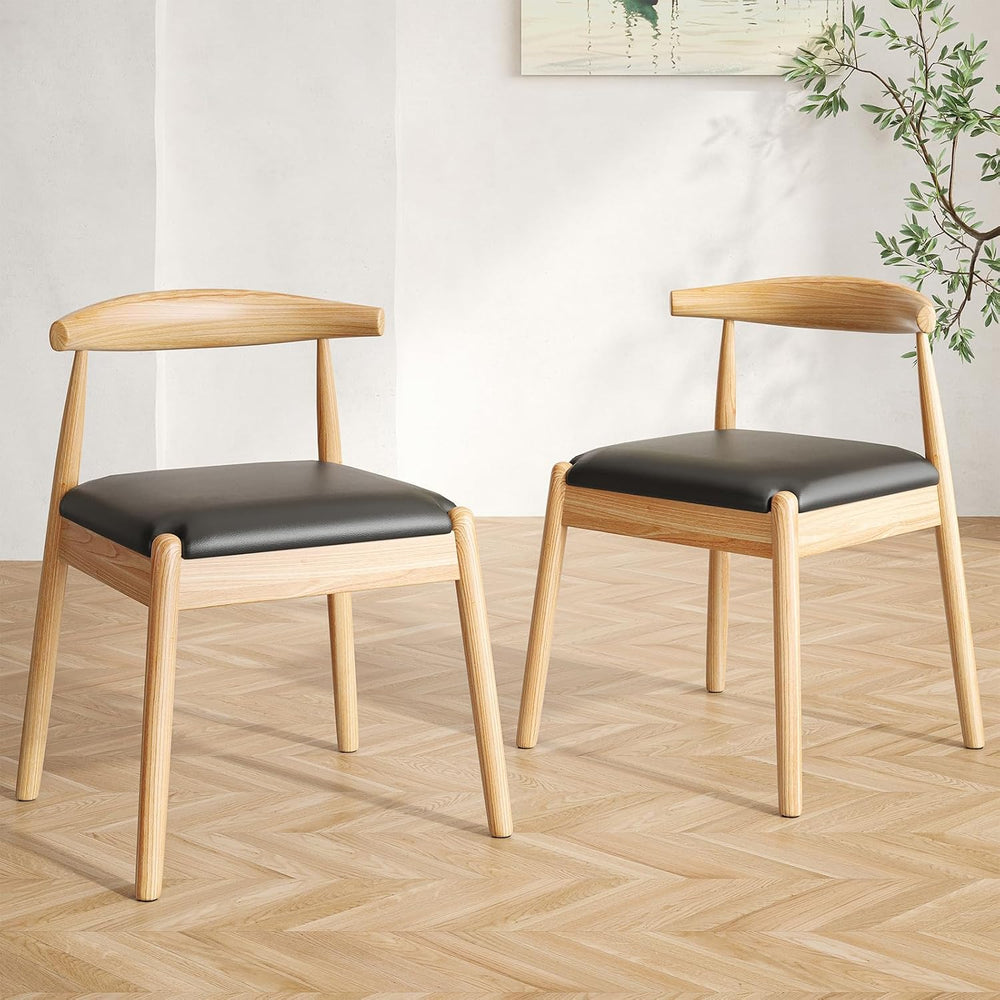 Soohow Dining Chairs Set of 2, Mid Century Modern Kitchen & Dining Room C...