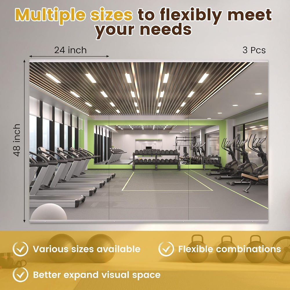 LOAAO Home Gym Mirror 48"x24", 3 PCS