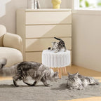 Wimarsbon Storage Ottoman,Soft Faux Fur Footstool with Padded Seat, Small Reading Vanity Chair, Footrest with Wood Tray for Couch, Mini Coffee Table or Display Stand (Cream, Round Storage)